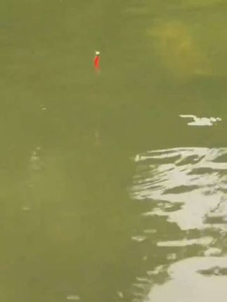 #收纳神器,多功能路亚竿收纳神器,#路亚野钓