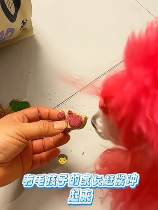 鱼禾猫【猫爪形肉饼】猫狗精选宠物零食营骨肉冻干猫咪零食增肥#每日分享 #强烈推荐 #好物推荐🔥 #好物分享 #好物推荐分享