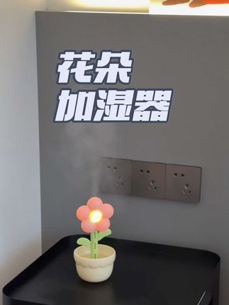 夏天开着空调睡觉真的很需要这个可爱的加湿器#加湿器 #夏日必备 #种草好物