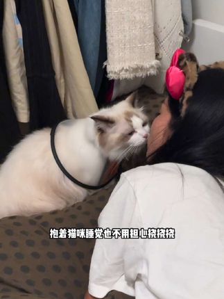 家里养了2只猫 除臭杀菌消毒它帮我搞定 #滴露宠物消毒液 #滴露 #科学养宠攻略 #宠物除味