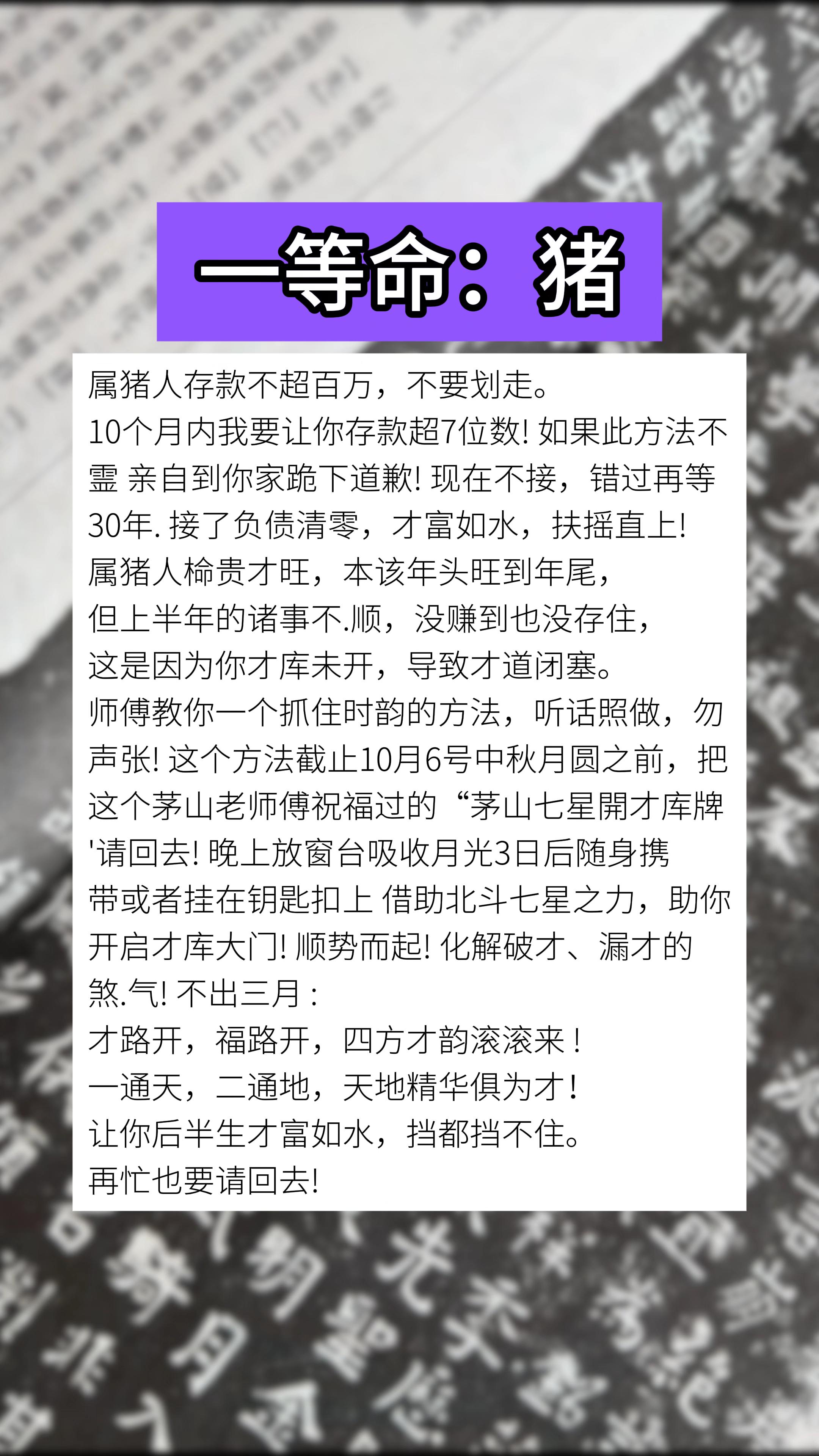 #59年的猪 #71年的猪 #83年的猪 #95年的猪 #生肖猪