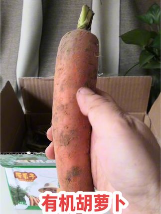 #种草激励计划 这是我买的有机胡萝卜,橙红透亮,甜甜的是冰糖心的。来自内蒙古不打农药,不施化肥,口感好#儿时味道 #有机胡萝卜 #土特产 #绿色种植