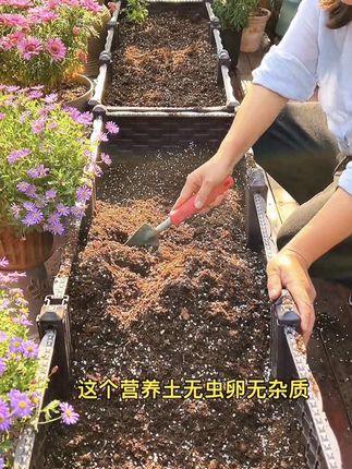 #种菜养花营养土 种花种菜种果树都可以,土质疏松透气、保水保肥,还可以循环实用#阳台种菜 #家庭园艺#种苗培育#有机营养土有机肥