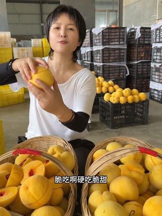 #锦绣黄桃#桃子 中秋送礼就选锦绣黄桃  发福利都可以要面又面子#蒙阴蜜桃