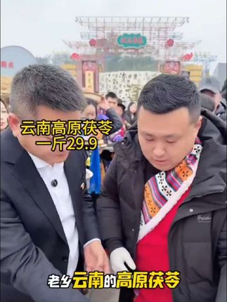 云南茯苓块罐装干货老叔白茯苓片营养食用柴胡