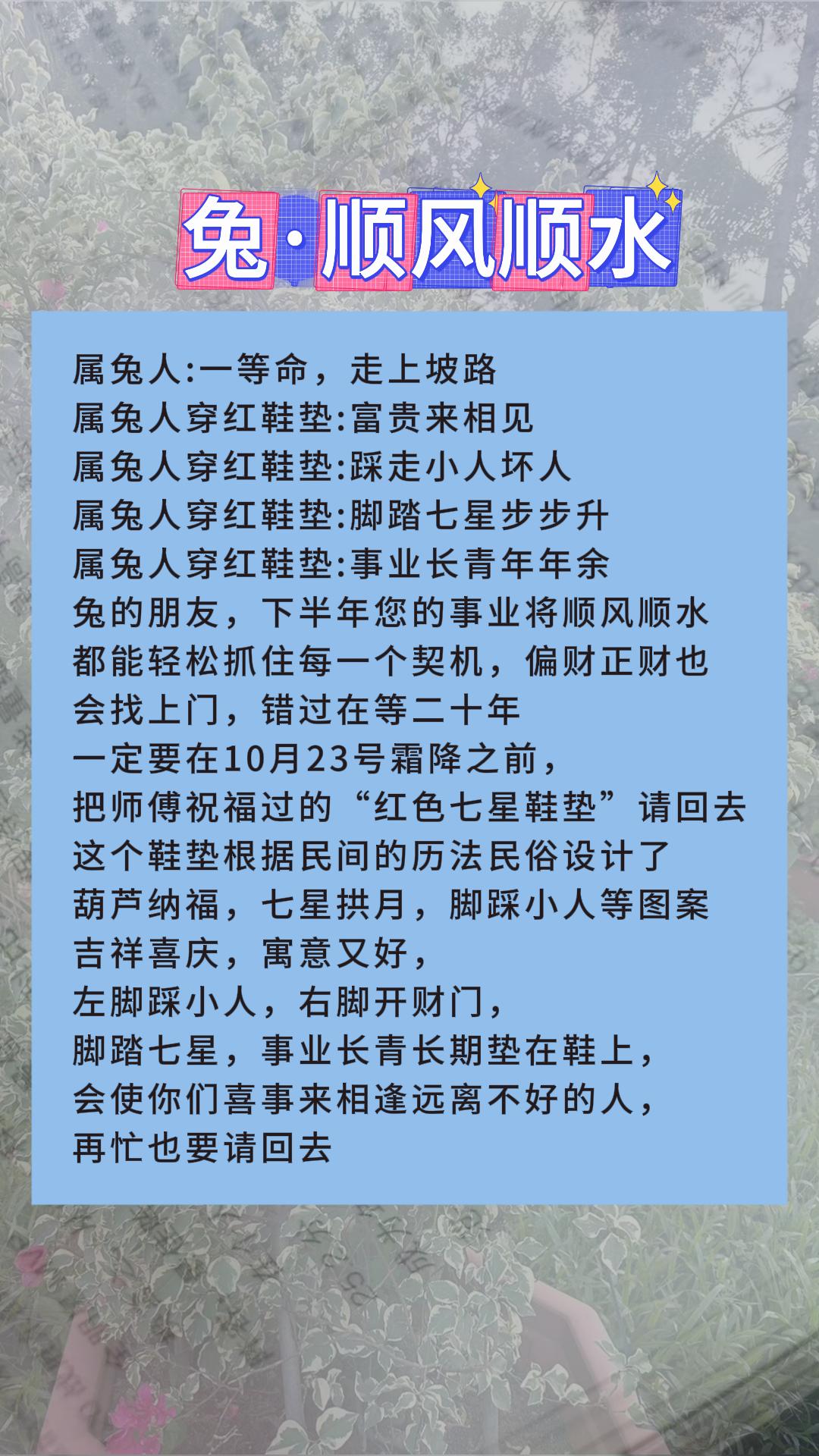 #兔 #属兔 #生肖兔