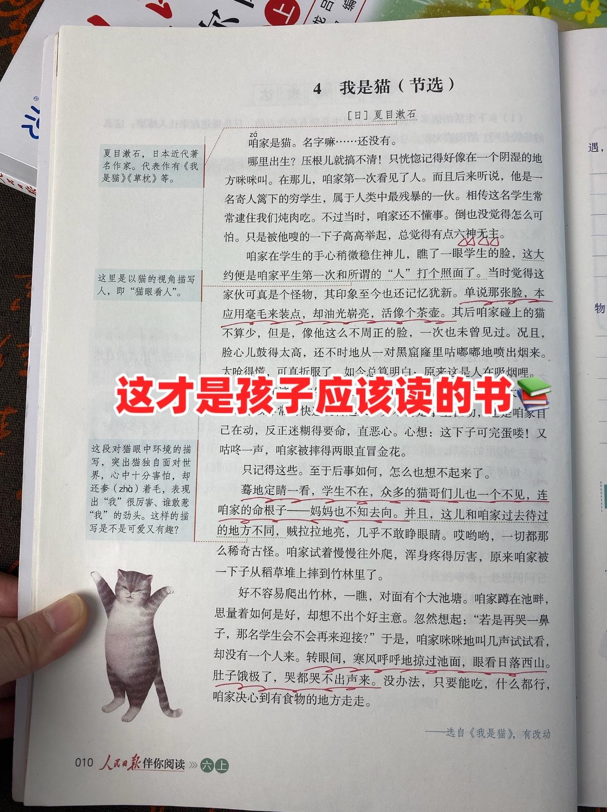 少刷题,多读书#课外读物 #小学 #课外阅读 #语文