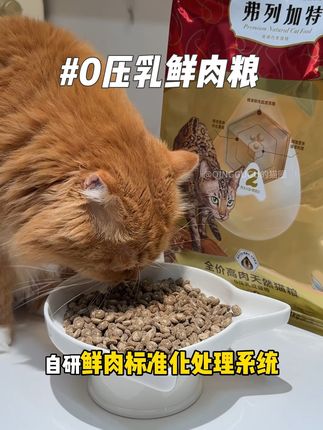 弗列加特重磅新品0压乳鲜肉粮,全新的锁脂工艺适口性拉满~ #养猫新手 #猫粮推荐 #0乳糖鲜肉粮 #弗列加特猫粮 #秀出你的猫猫召唤术