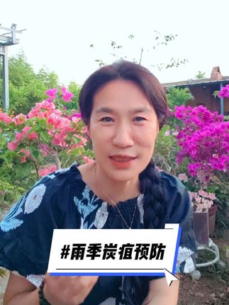 雨季如何预防炭疽 #三角梅 #三角梅养护 #炭疽病 #园艺 #沉鱼落雁的花园