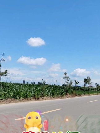 #抽纸#纸巾#清风抽纸#好物分享#好物推荐
