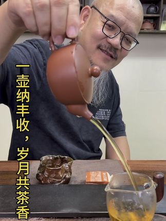论实用性,丰收壶能入坭兴陶前五。#茶生活 #丰收壶 #坭兴陶 #老韩坭兴陶