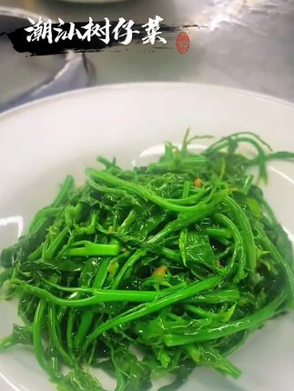 潮汕树仔菜 基地直发#树仔菜 #树菜 #潮汕树菜#地方特色美食