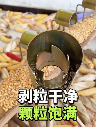 剥粒干净,颗粒饱满,手摇玉米脱粒机。#三农 #剥玉米神器 #强烈推荐 #玉米脱粒机