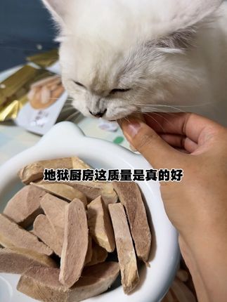地狱厨房鸭大胸冻干现在买一送一,买二送三,养猫人赶紧囤了~#萌宠好物 #地狱厨房鸭胸肉冻干 #养猫经验分享