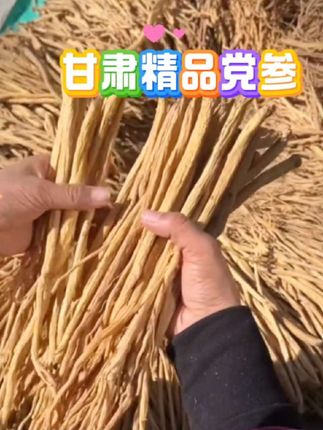 #甘肃党参 #好东西一起分享