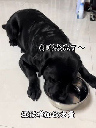 接近母乳的羊奶粉,低敏易吸收,能补充优质奶蛋白~#中博特宠物羊奶粉