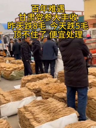 #甘肃党参#优质农产品#超便宜超划算