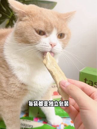 一大盒全是独立包装真的太划算啦#好物推荐🔥 #好吃到停不下来 #宠物食品