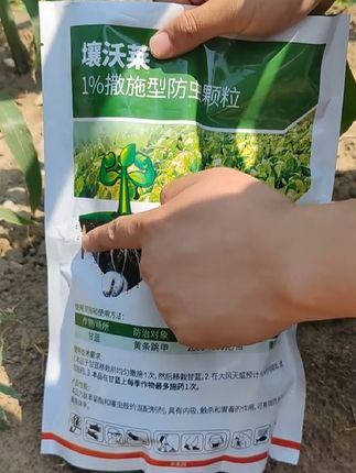 撒施型颗粒剂 方便好用#颗粒剂#三农种植 #三农种植 #抖音助农扶农 #有机种植