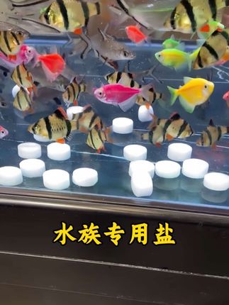 还在为鱼缸水质发愁?试试这款水族专用盐!它能杀菌消毒,让有害细菌无处遁形;还能调节渗透压,给鱼儿减压;更能软化水质,去除水垢。养鱼小白也能轻松上手,还你一缸澄澈清水 ,让鱼儿自在畅游!#水族专用盐 #养鱼经验分享 #新手养鱼 #预防鱼病 #养鱼日记