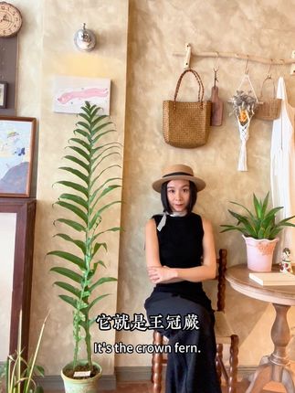 如果你不是懒人,不建议你养这个绿植 #室内绿植 #绿植 #热植 #养花人 #花卉绿植