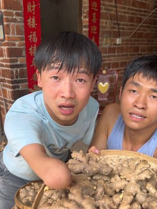 #云南小黄姜 #生姜 #优质农产品 #家乡特产 #超便宜超划算