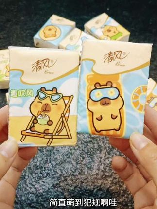妈呀!清风也太可爱了吧!纸巾上都有卡皮巴拉了,关键品质没的说#清风 #手帕纸 #划算好用