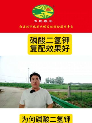 膨化闪溶磷酸二氢钾 #磷酸二氢钾#磷酸二氢钾使用小妙招 #磷酸二氢钾黄金搭档 #磷酸二氢钾的使用 #磷酸二氢钾肥选购指南