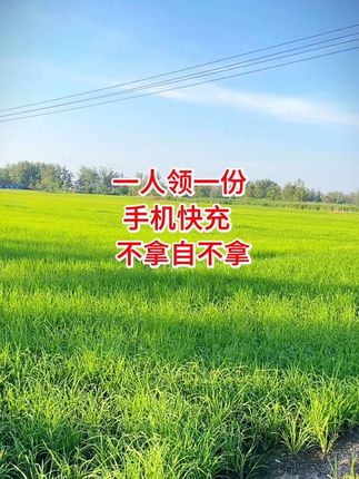 一个账号可以撸一份哦,不要白不要,冲啊#旅行必备 #爆款热卖中🔥