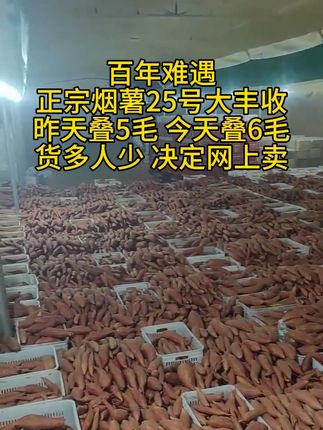 #烟薯#优质农产品#软糯香甜#烟薯25#空气炸锅烤红薯