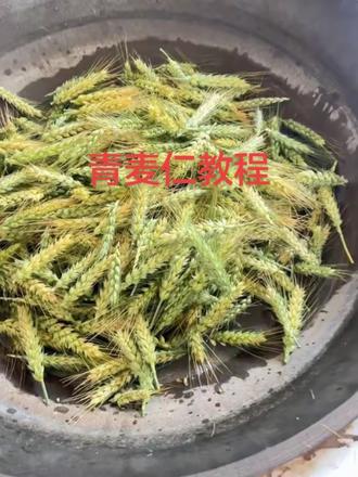 河南人都在吃青麦仁了,你们喜欢吃不…#河南人 #中原粮仓 #河南人的底气就在田间地头里 #麦仁