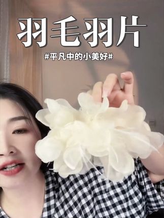 超有型超好看的羽毛羽片夹,有造型有氛围感#抓夹 #羽毛抓夹 #后脑勺发夹抓夹推荐