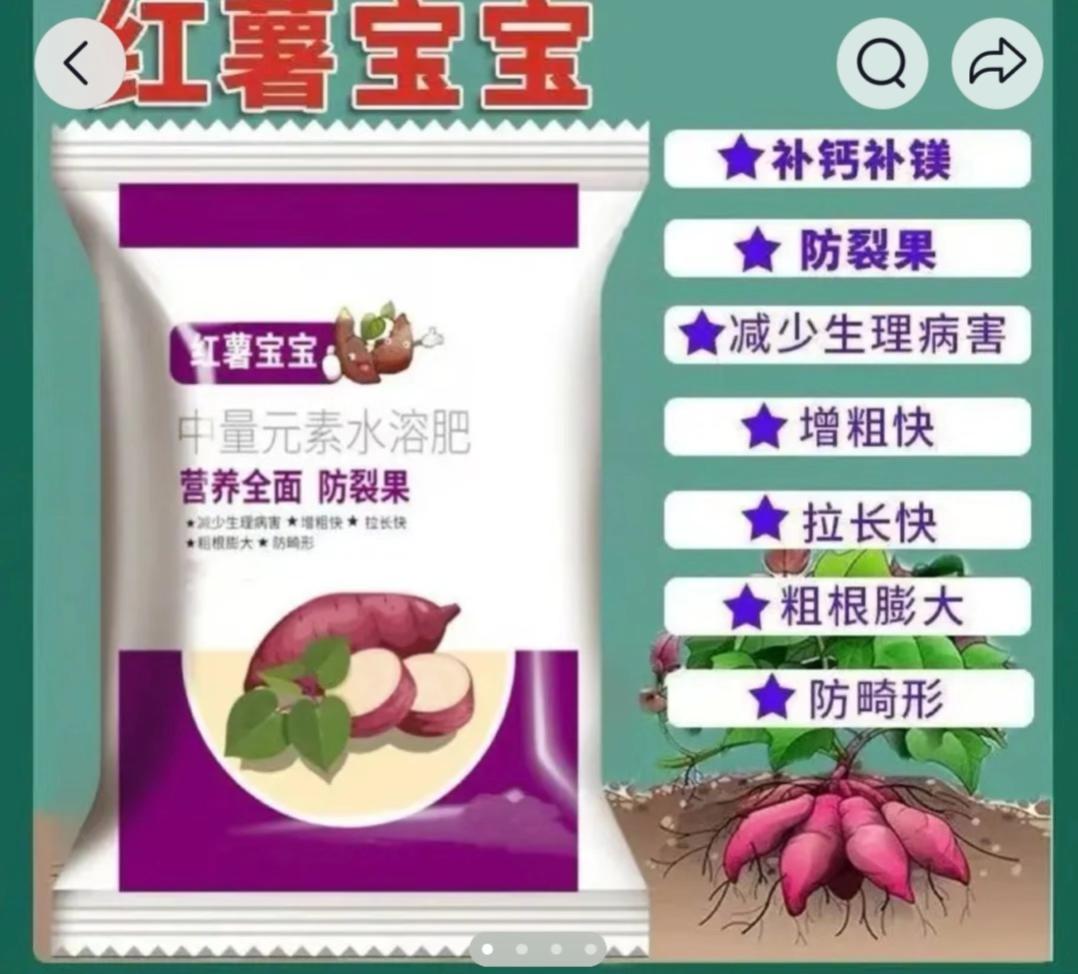 红薯不长果只长叶,裂果等,只要红薯裂口、烂果、产量低,其实很好解决,只需要在红薯膨大期喷两到三次。#三农#农村生活#学农业科技助农增长@桔柚李哥半月坪 @半月坪橱窗带货(开播号主页进入 @抖音小助手