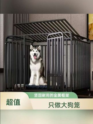 折叠加厚狗笼子大型犬专用金毛边牧阿拉斯加狗笼笼子防逃狗窝室外#狗笼子 #狗笼#笼子#萌宠出道计划#养殖好帮手