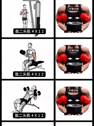 居家手臂💪训练,打造一双麒麟臂,自己瞎练一年不如学后练一个月,健身少走弯路#手臂训练 #二头弯举 #二头肌训练 #麒麟臂 #居家锻炼