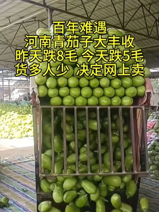 #创作灵感 #快来一起尝个鲜 #抖音助农 #优质农产品 #快来一起尝个鲜