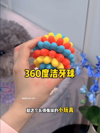 让小狗玩着球就把牙齿刷了,还能消耗精力,真是一举多得#萌宠好物 #宠物玩具#狗狗玩具球