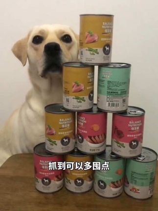这375克的大罐头,一箱12罐才59,真的太划算了 #狗狗 #萌宠好物 #萌宠推荐官