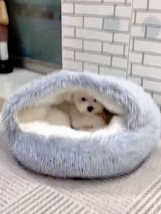 天冷宝贝们就开始钻被窝,给它一个便宜的贝壳窝,进去就不愿出来#狗窝#保暖狗窝 #宠物贝壳窝#狗狗钻被窝 #猫窝