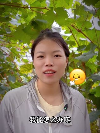 老板给我设置的kpi完不成怎么办#新࿆鲜࿆采࿆摘 #抖音新农人 #打工人 #牛马 #阳光玫瑰