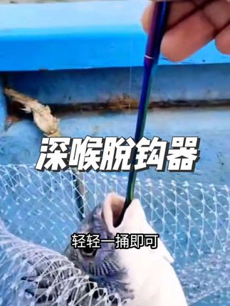 鱼吃口深,用手容易被扎,这个脱钩器约18厘米长,吃多深的口三秒取钩还不扎手#钓鱼装备 #取钩器 #渔具用品 #户外钓鱼 #海钓