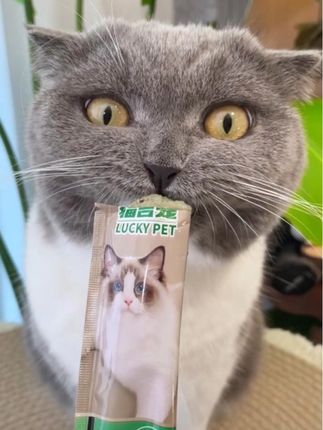 吃猫条还能帮助猫咪排毛?就是这款猫吉宠家的益生元猫草排毛果冻条,鲜肉融合猫草猫咪吃了排毛又长肉#新手养猫 #猫咪排毛 #养猫经验分享 #萌宠好物