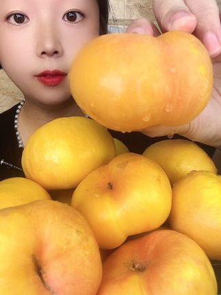 彩虹油蟠桃 #彩虹油蟠桃#蟠桃#黄金油蟠桃#黄金蟠桃#蟠桃盛宴