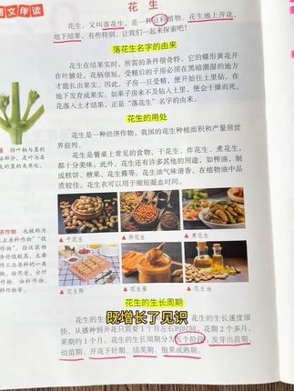 #五年级 放学后花10分钟看一看这本#博物课堂 ,同步教材,深挖教材内容,激发孩子阅读兴趣,拓展必备文化常识,扩大知识面,提升语文综合素养!让预习也变得有意思起来~#小学语文 #课外阅读 #家长必读