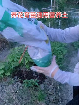 #好物推荐🔥 #养花育苗通用营养土