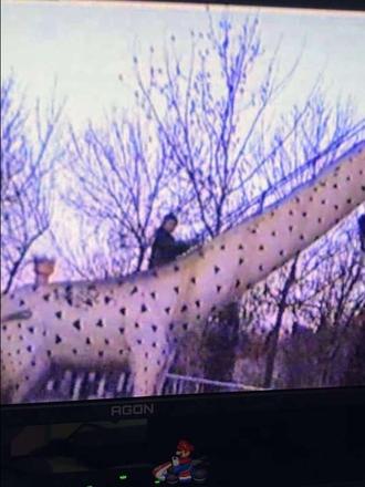 北宁公园的大象滑梯是多少人的快乐
#北宁大象滑梯记忆挑战 #北宁公园大象滑梯 #滑梯 #北宁公园 @天津市河北区文旅 #长颈鹿滑梯