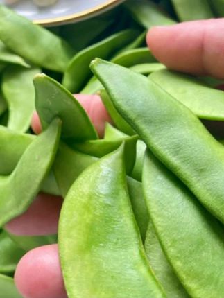 海门洋扁豆农家洋扁豆新鲜带壳现摘现发SF发货