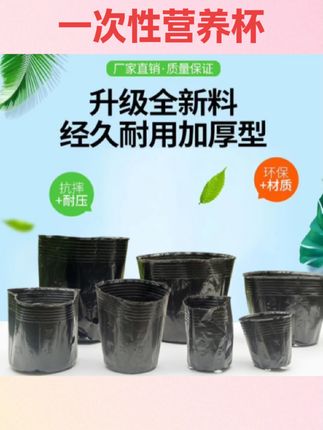 #好物推荐🔥 营养杯育苗杯营养钵育苗盆塑料加厚一次性农用营养袋育苗袋花盆大#营养杯 #营养杯苗 #一次性花盆 #园艺好物