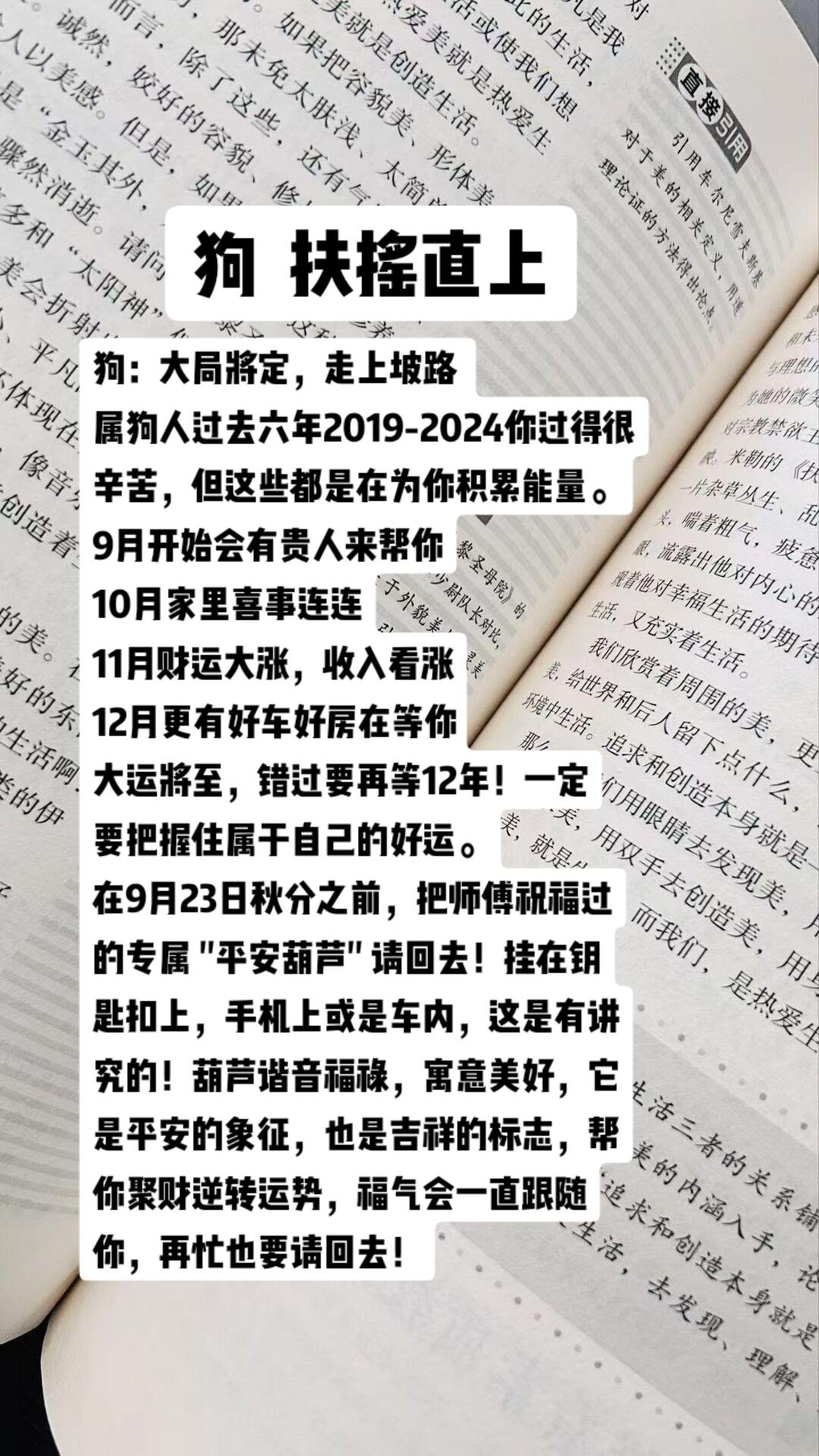 #生肖狗 #狗 #属狗