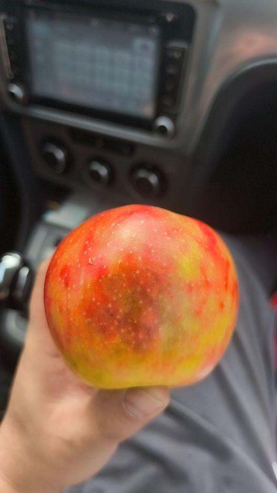 第一个就是坏的其他没看呢 口感很一般#我在抖音买买买